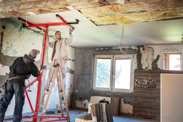 Best Commercial Insulation Services  in Osseo, MN